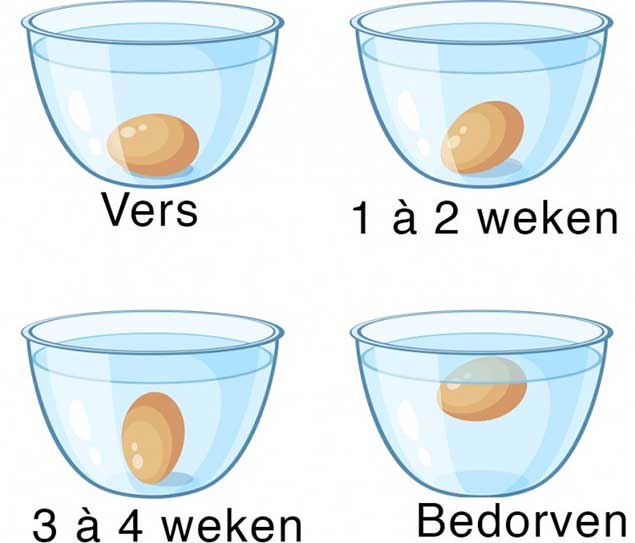 versheid-van-ei-controleren-trucje